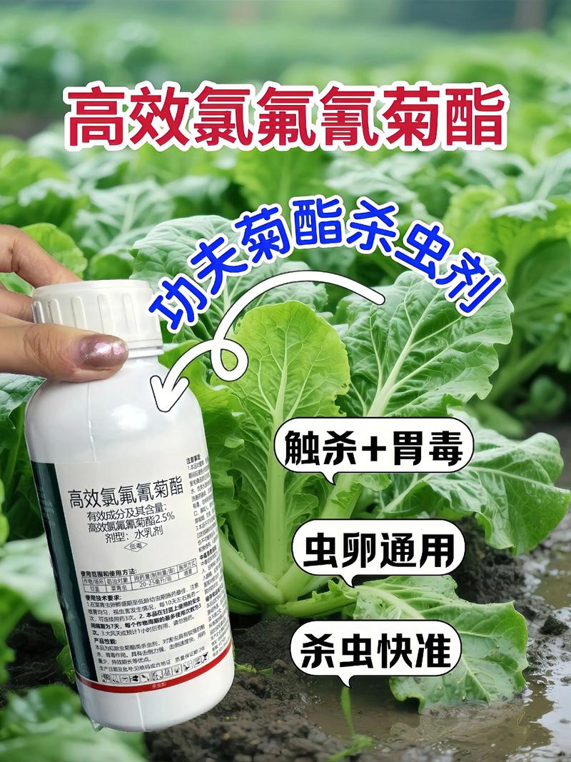 普陀代生中心:农药对供卵代生妈妈的危害